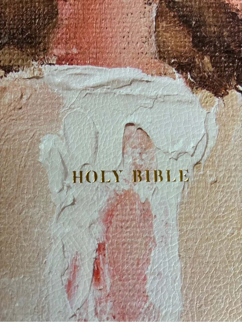 Amplified Holy Bible - Anne Neilson Angel Art Series (White Reddish Cover) SALE!
